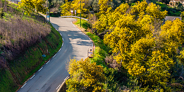 Straße auf der Mimosenroute