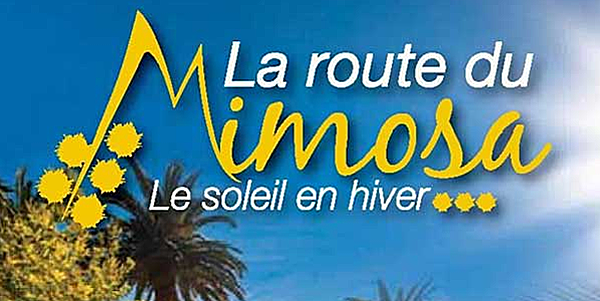 Mimosenfest & Route: Eine Duftende Goldene Reise durch Südfrankreich